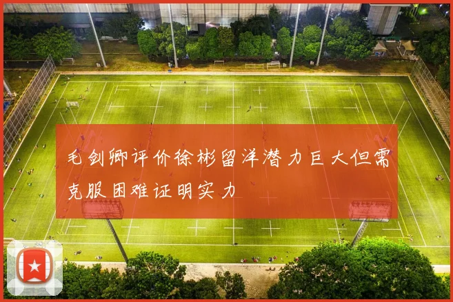 毛剑卿评价徐彬留洋潜力巨大但需克服困难证明实力