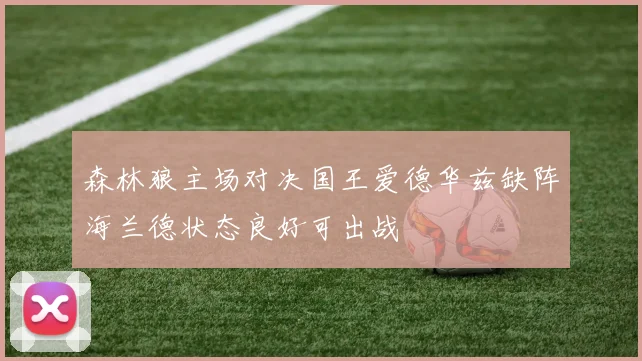 森林狼主场对决国王爱德华兹缺阵海兰德状态良好可出战
