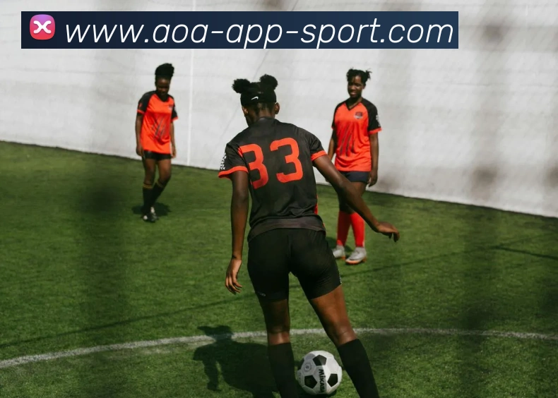 AOA体育平台生态图